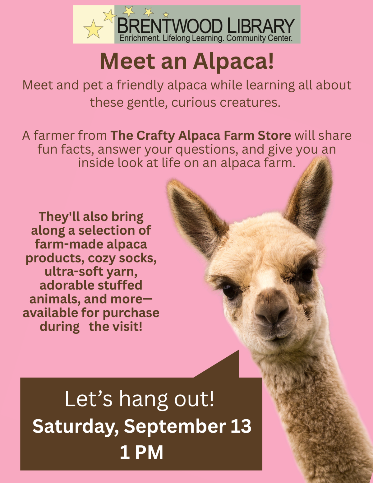 Alpaca saying "Let's hang out!"